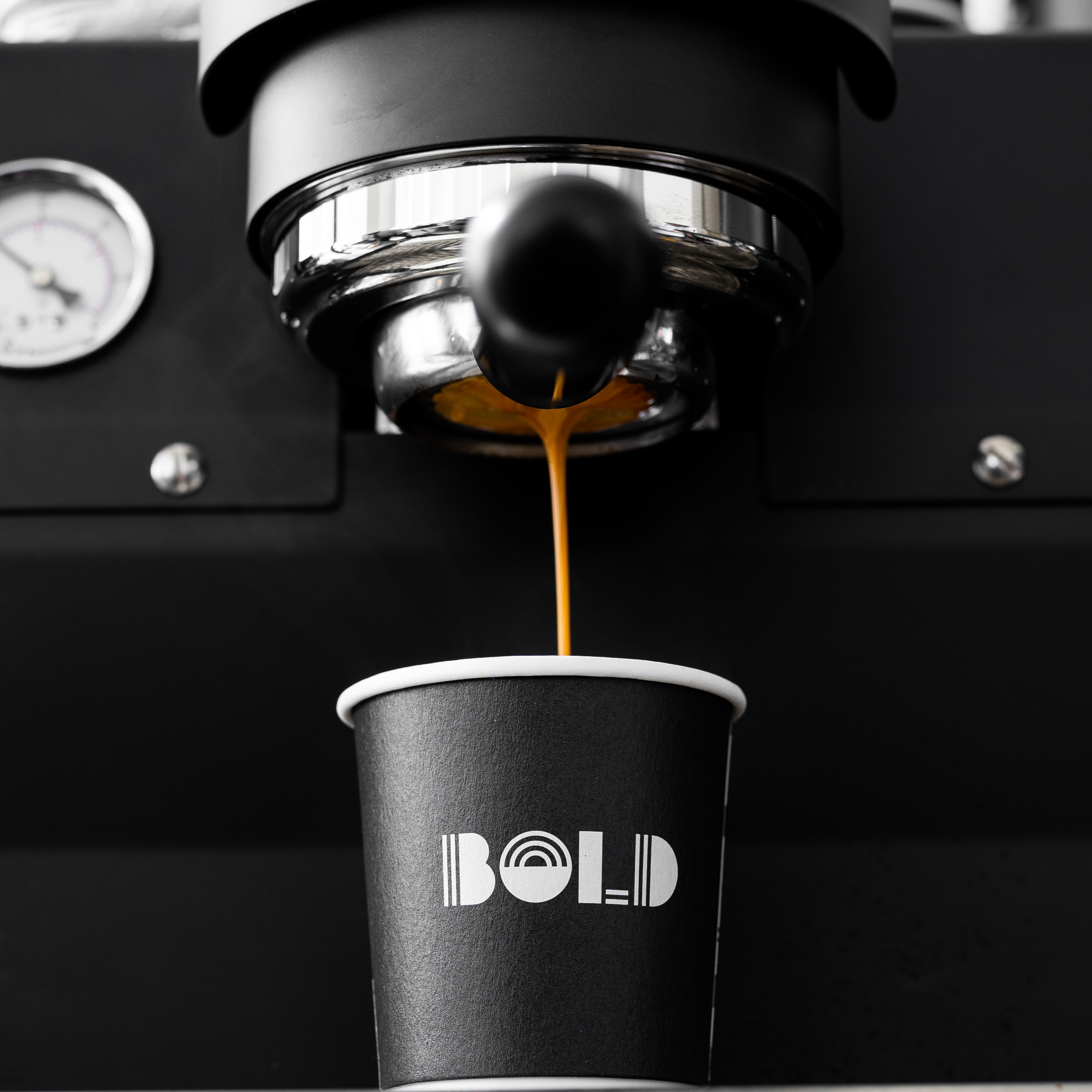 Bold-Paper-Cup