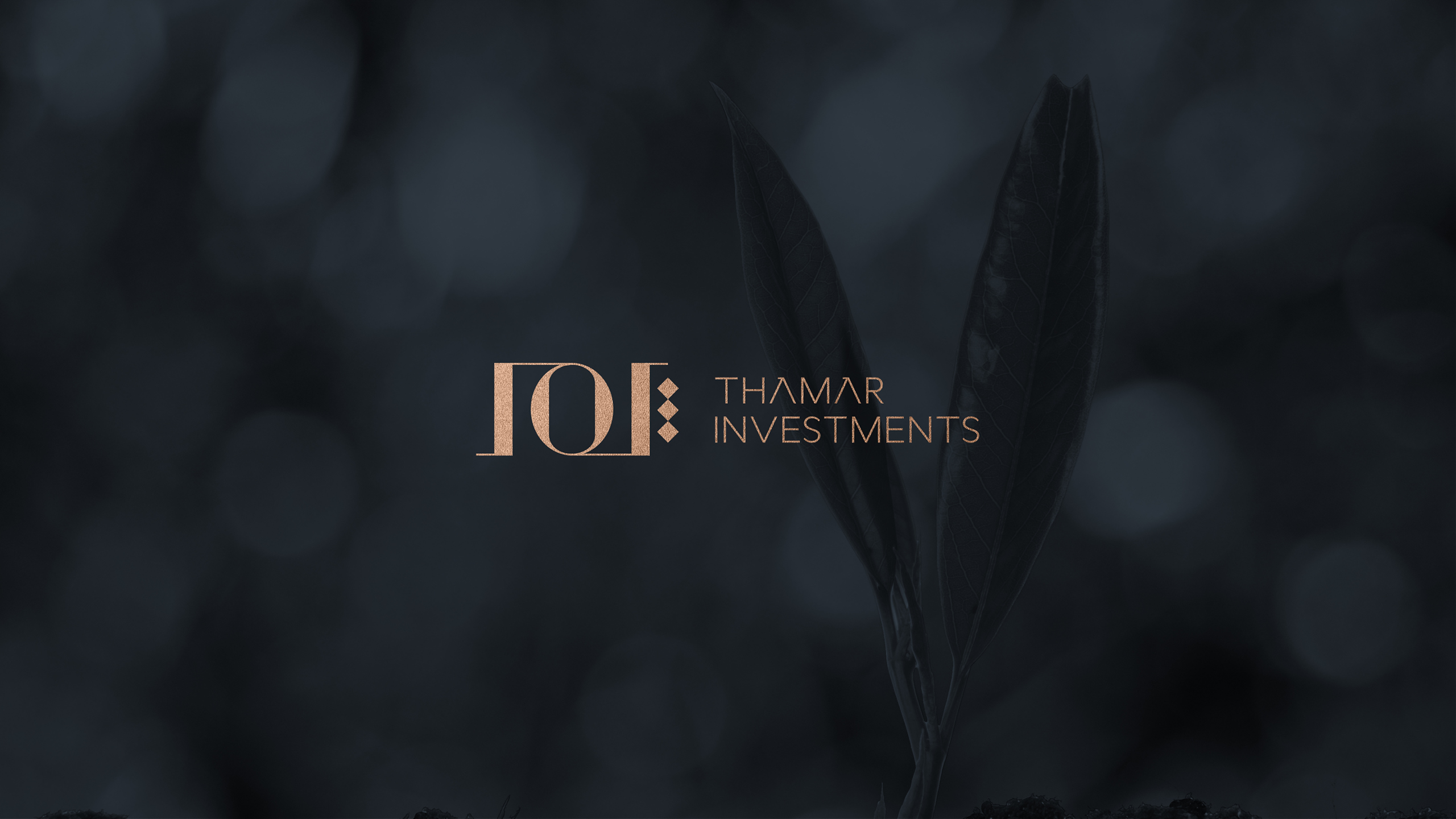 Thamar-Investment-Branding-02